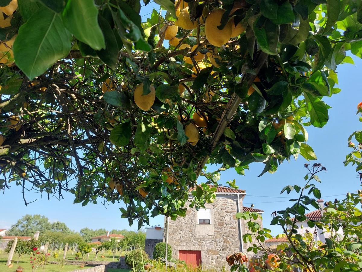 Готель Quinta Da Ponte Віана-ду-Каштелу Екстер'єр фото
